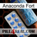 Anaconda Strong 40
